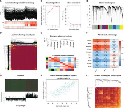 System analysis based on the migration- and invasion-related gene sets identifies the infiltration-related genes of glioma